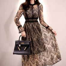 画像をギャラリービューアに読み込む, DK9 シンシア